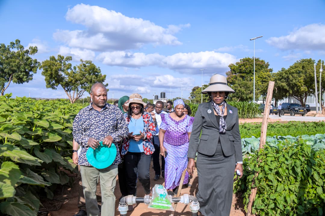MAANDALIZI YA NANENANE YAPAMBA MOTO DODOMA.